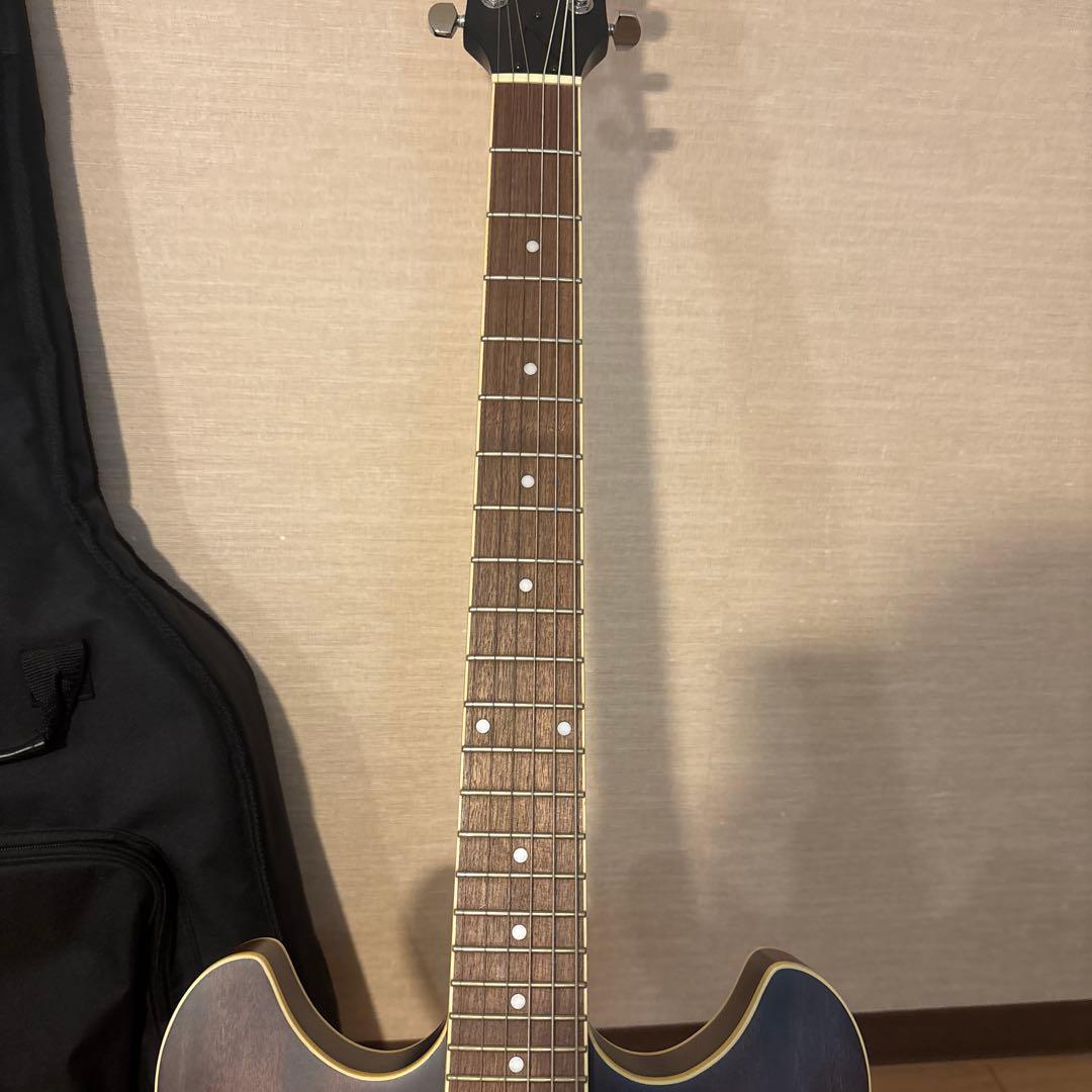 Ibanez セミアコースティックエレキギター左利きソフトカバー付き！！