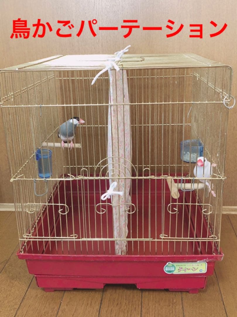 鳥かごパーテーション（通院用、療養用） 楽天市場】鳥 通院の通販 鳥かごパーテーション（通院用、療養用）
