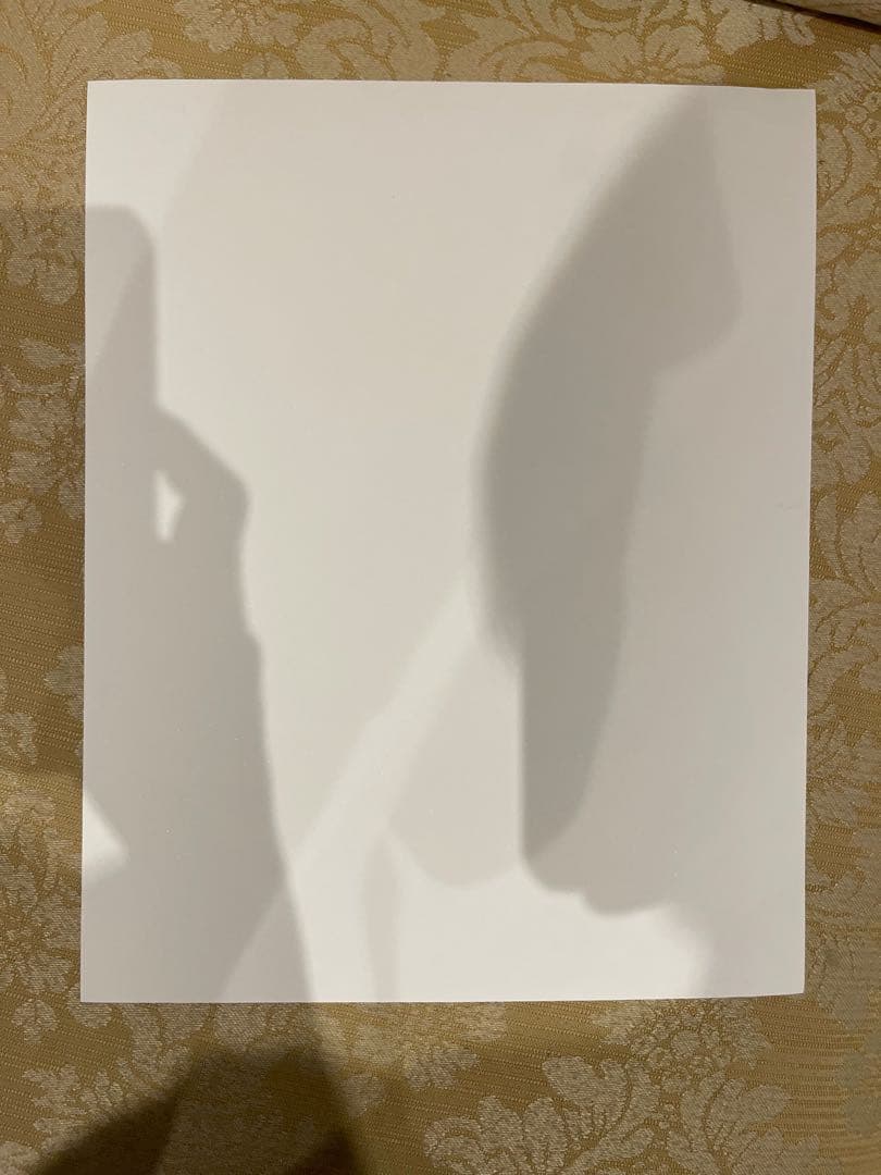 KOAK コアック 「The Axis」版画100部限定 美術品・アンティーク