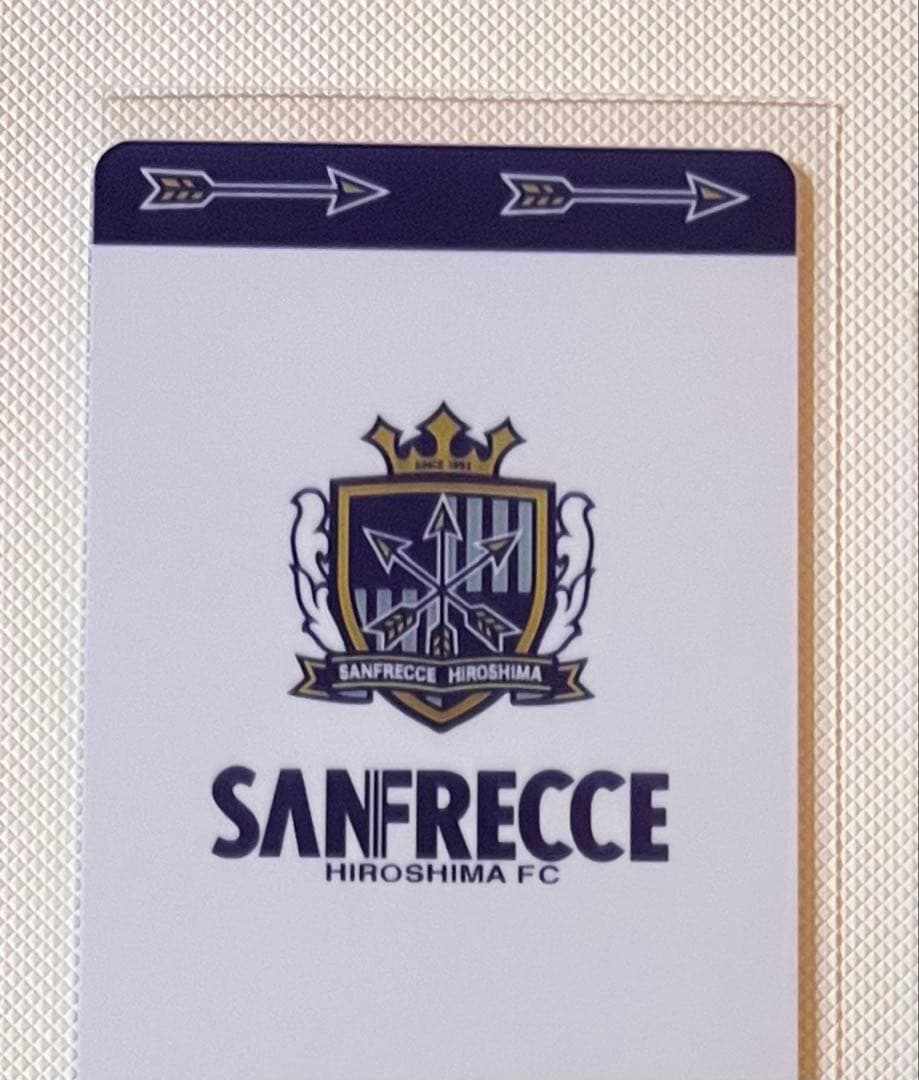 バラ売り対応可】サンフレッチェ広島レジーナ Nカード9種セット