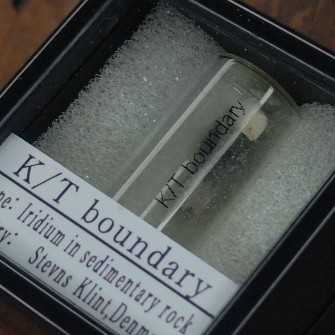 入手不可！小惑星のかけら K-T境界層（K/Pg境界頁岩）標本