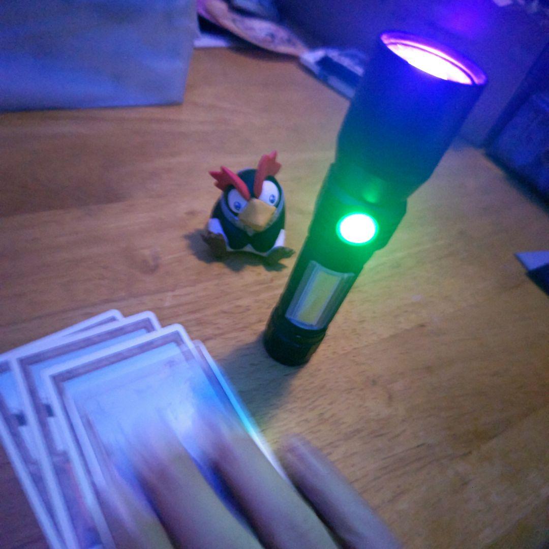 【断捨離】MTG 悲しみのtaiga 4枚