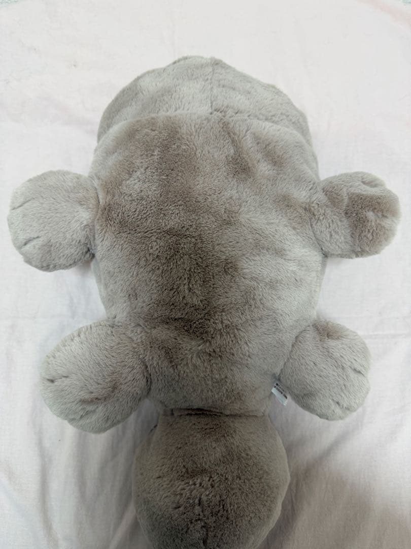 ポケモン ふわふわ抱きぬいぐるみ ヌオー　ドオー　ぬいぐるみセット