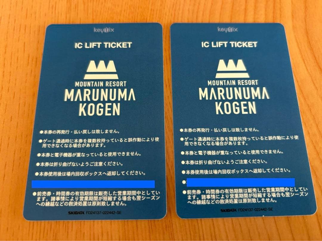 生産終了の希少品！岩崎電気アイ水銀ランプHF700X、未使用2本セット