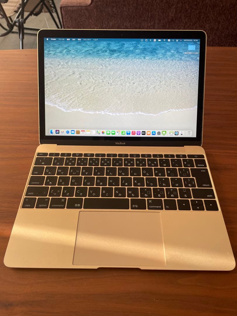 Apple MacBook 256GB MK4M2J/A early2015