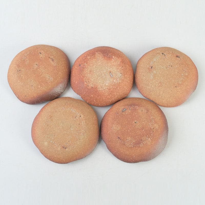 茶道具 信楽焼 高橋楽斎造 ネジ梅 小皿 五客 共箱 V 9662 美術品