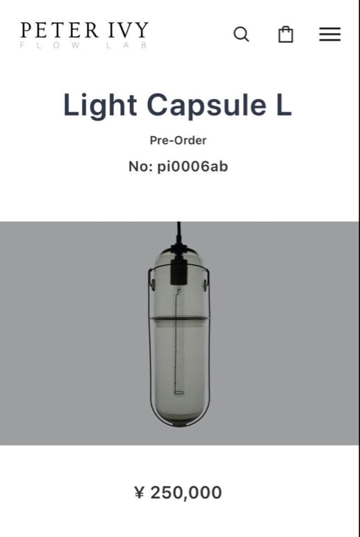 ピーターアイビー Peter Ivy ライト 電球新品2つ付けます！ ピーター