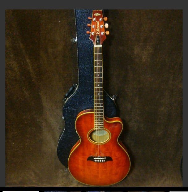 Aria Elecord FET-600 エレアコ （カサ） - メルカリ