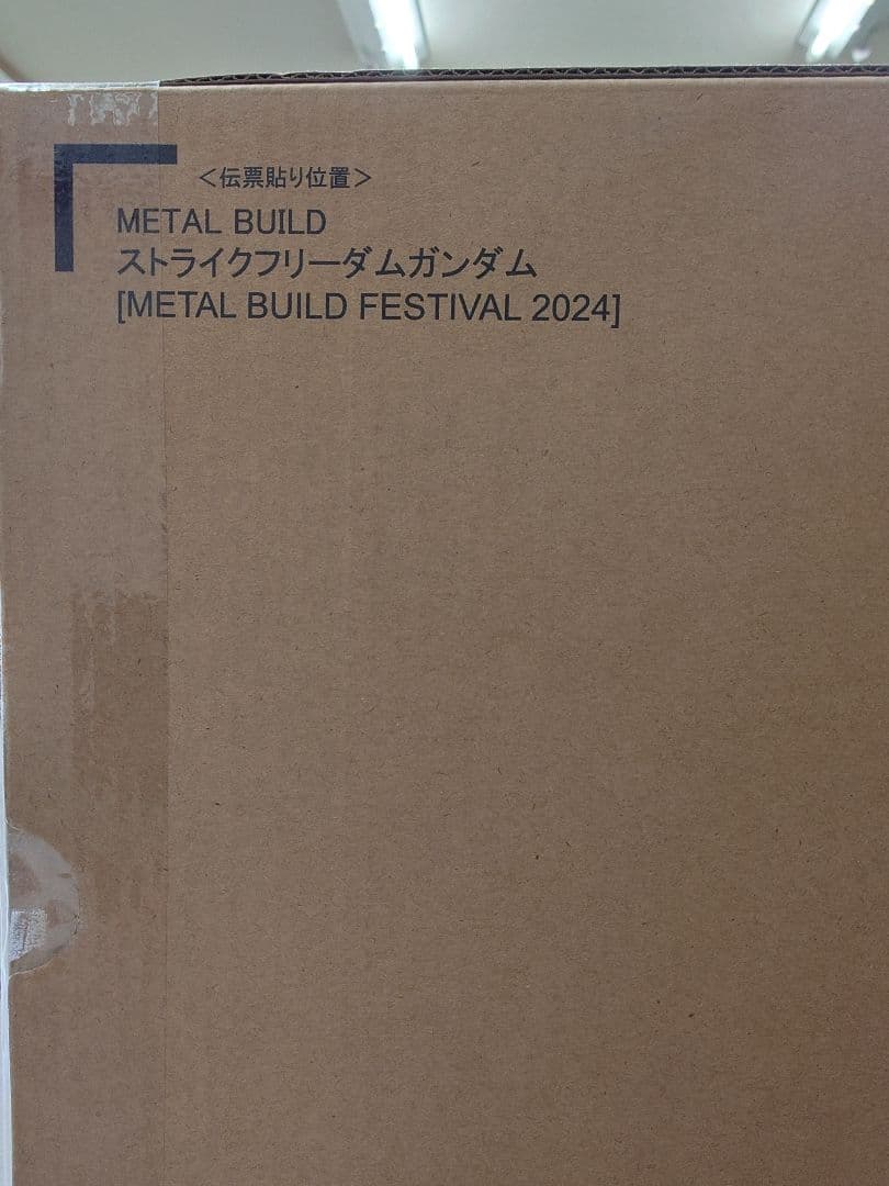 ストライクフリーダムガンダム ＆光の翼