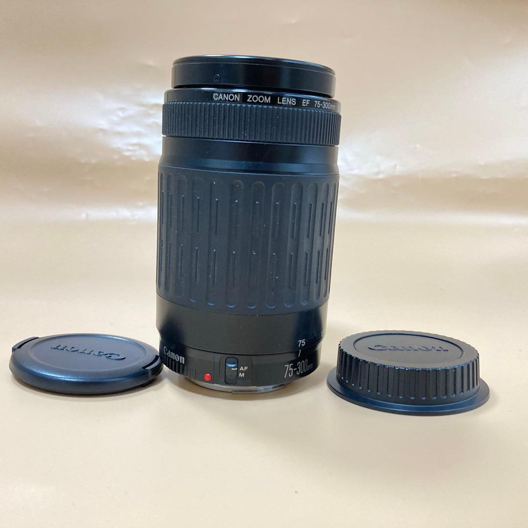 ☆望遠レンズ☆デジタル一眼レフカメラ Canon EF75-300㎜