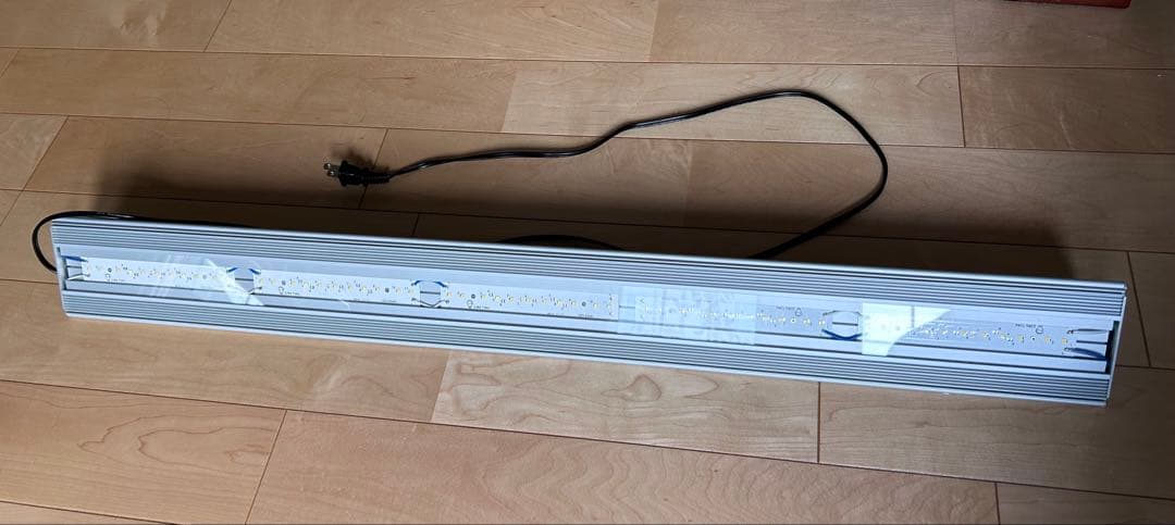 アクロtriangle bright 900 2025/01製