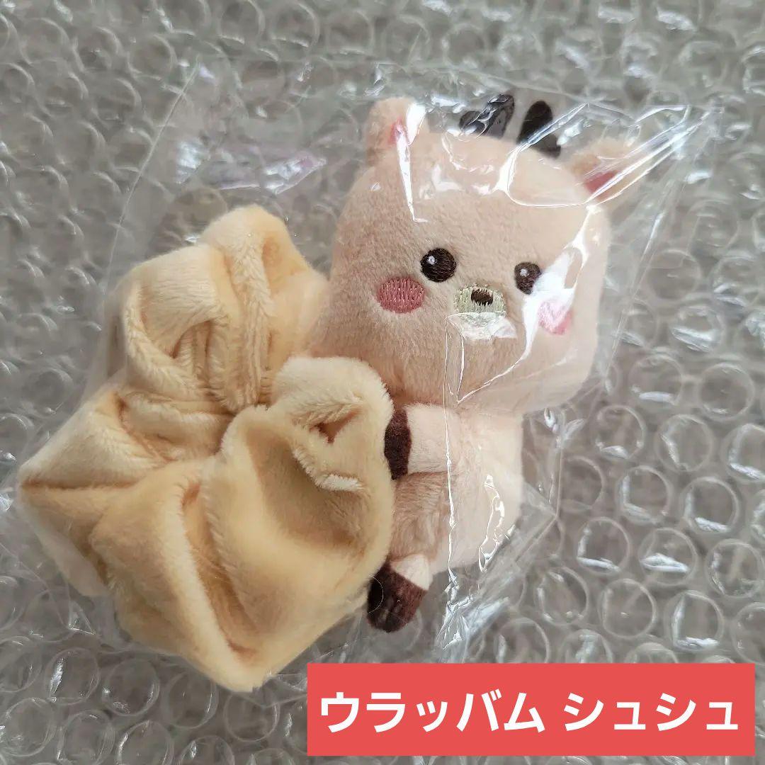 RIIZE ライズ ウラッバム シュシュFAN-CON'RIIZING DAY' - メルカリ