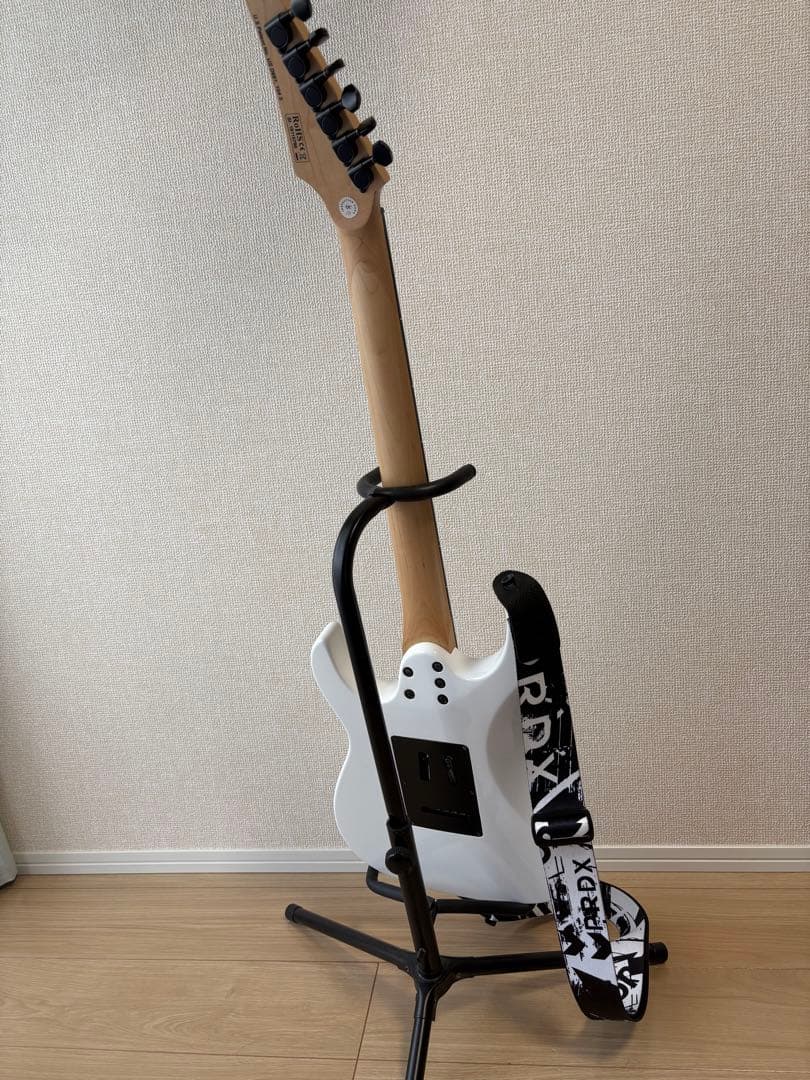 そ*ろ様 Legator N6SS-LRE エレキギター