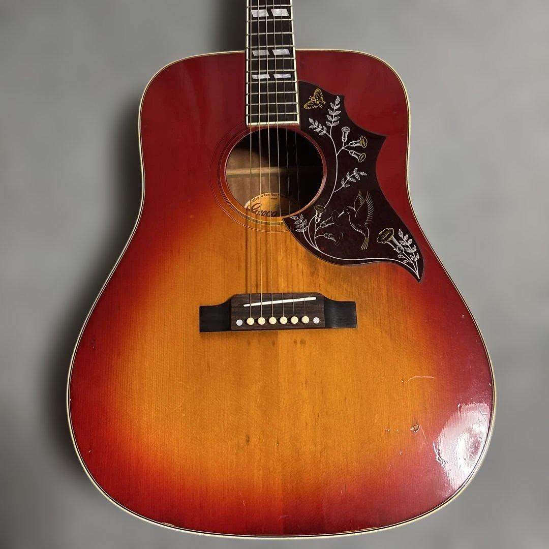 Greco アコースティックギター 202 ハミングバードサンバースト弦高