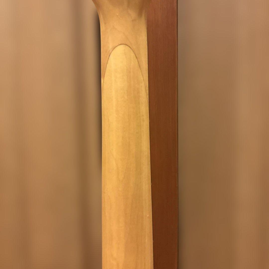 希少 B. C. Rich Marion 新品弦張替済 ソフトケース付