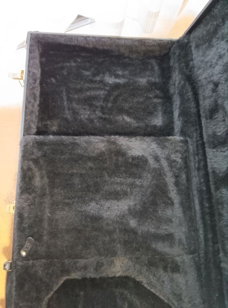 ゴダンギターケース