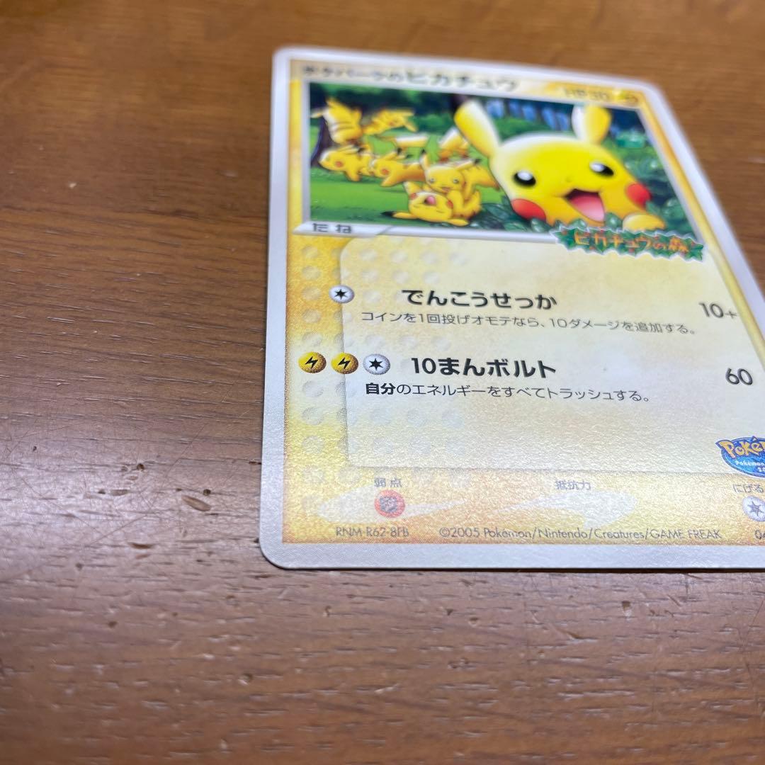 ポケパークのピカチュウ ピカチュウの森