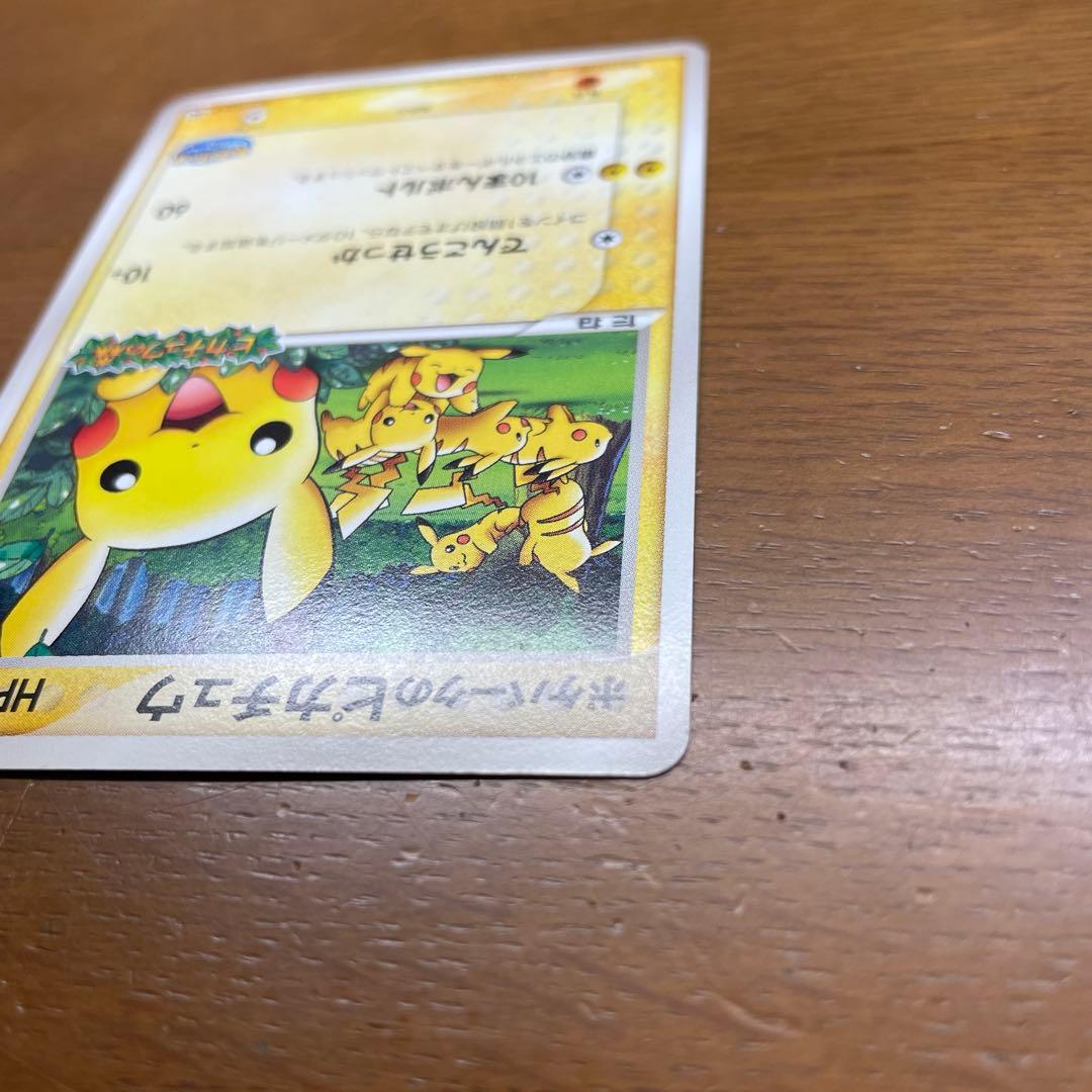 ポケパークのピカチュウ ピカチュウの森