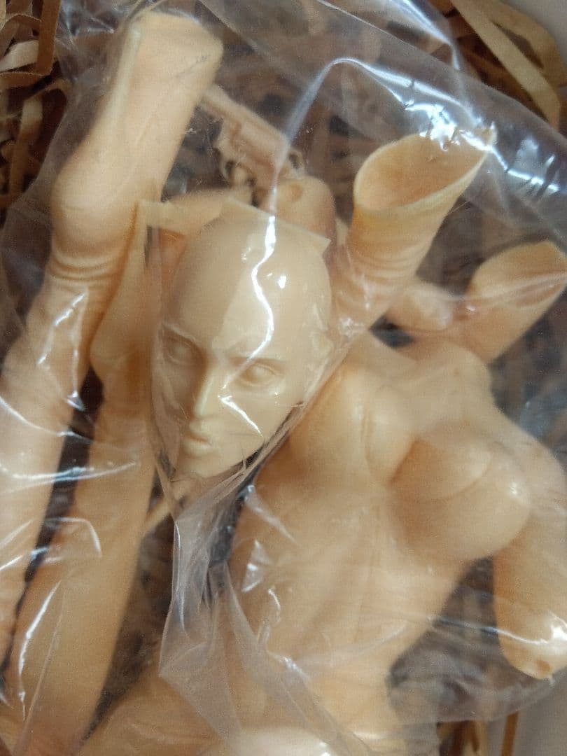 ●ファンタジーフィギュア フェリシア・アンドレス ガレージキット 矢沢俊吾