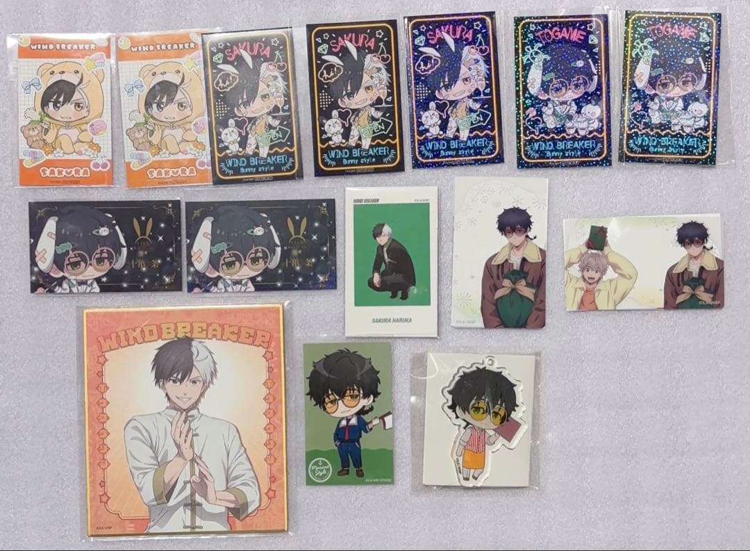 WIND BREAKER ウィンブレ 桜 十亀