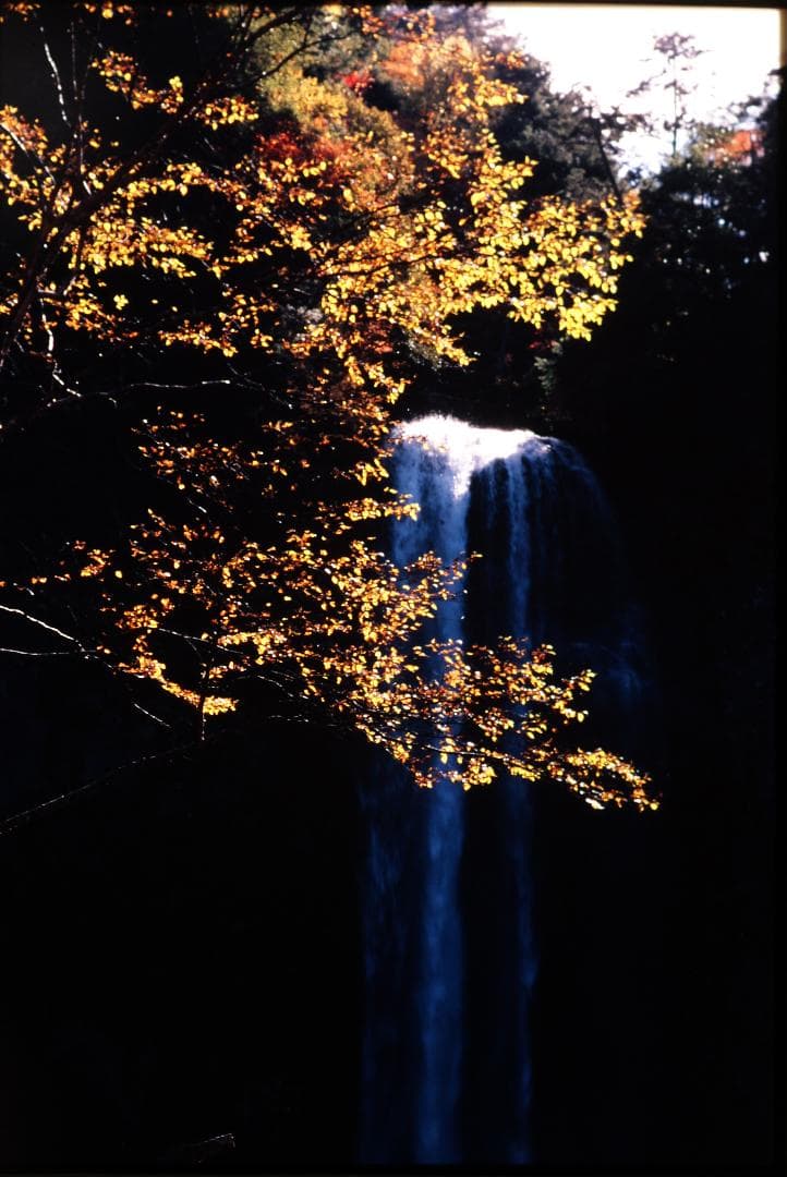 アナログ“” 自然風景写真（フレーム付き） フィルム撮影・銀塩プリント