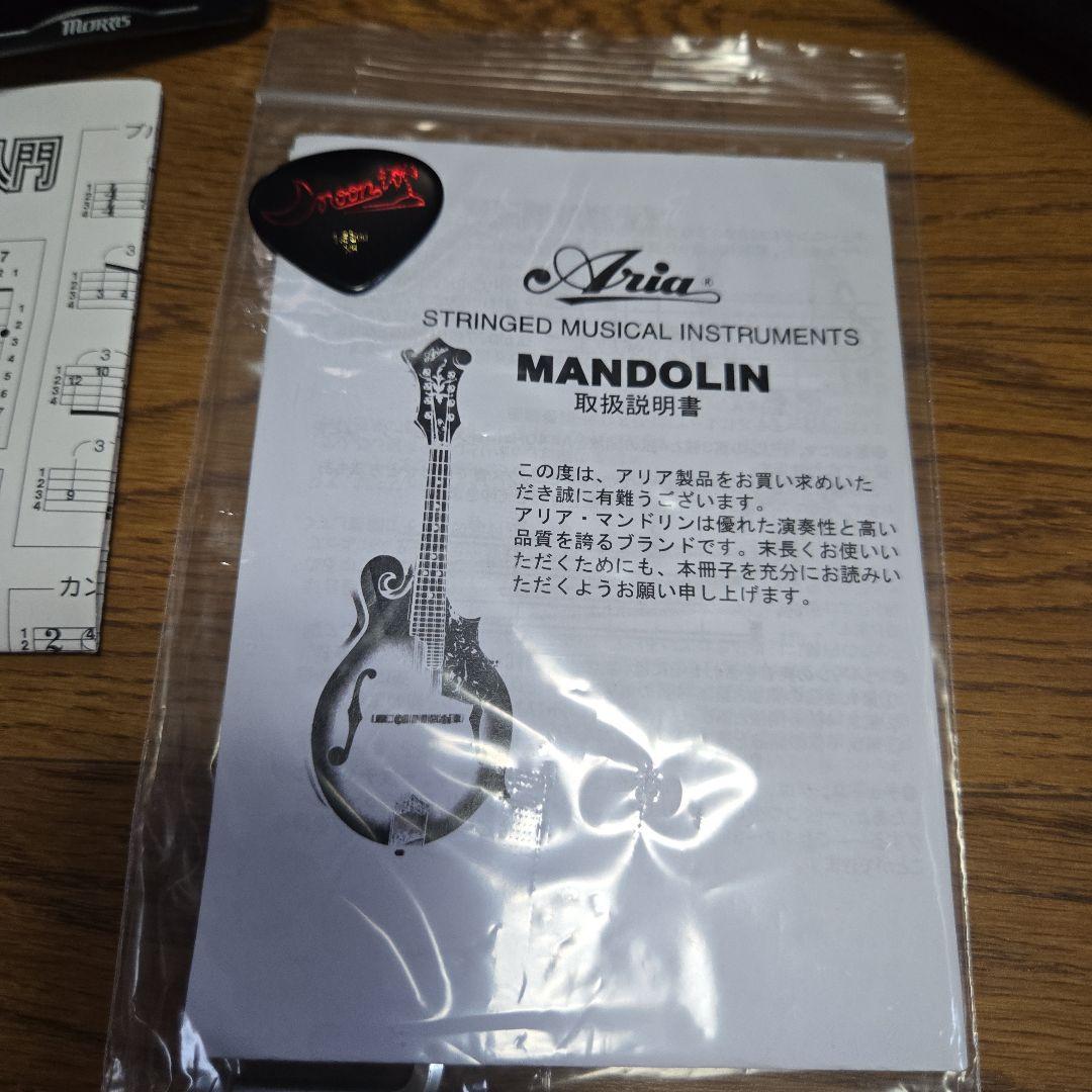 フラットマンドリン　ケース　コード付き