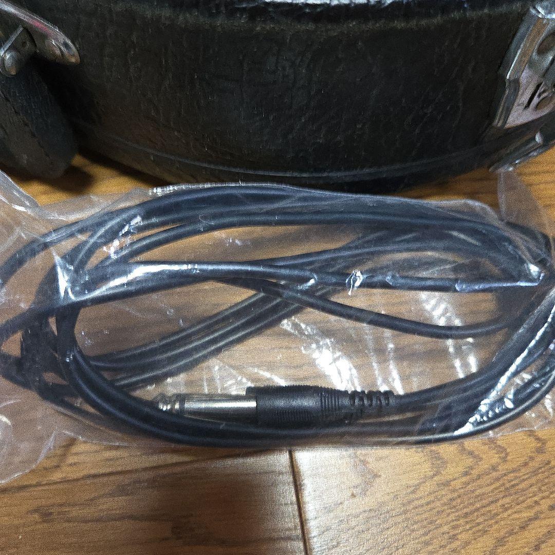 フラットマンドリン　ケース　コード付き