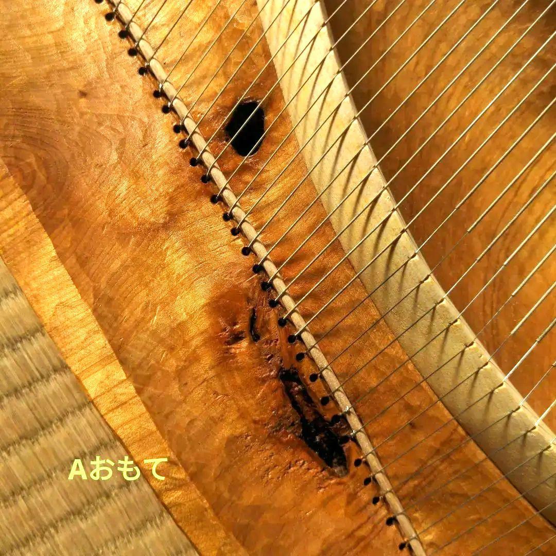 タオライアー 専用ケース付き 2014年製