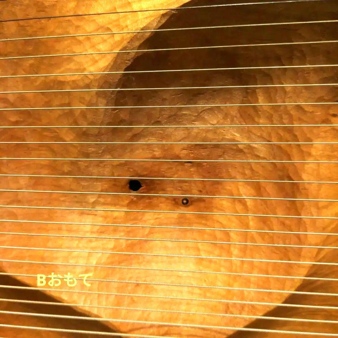 タオライアー 専用ケース付き 2014年製