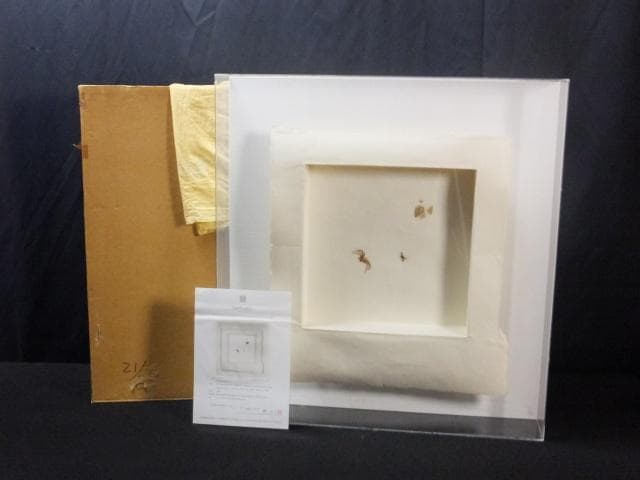 現代美術 井田照一　直筆サイン 作品証明書『垂直と地平線の間-昆虫』1205G