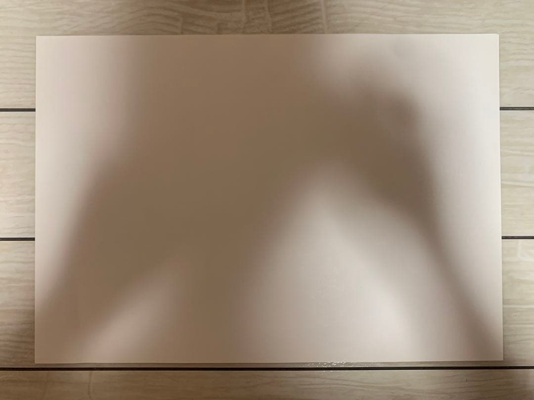 鳥山明の世界展　ドラゴンボール　ポスター　複製原画DRAGONBALL