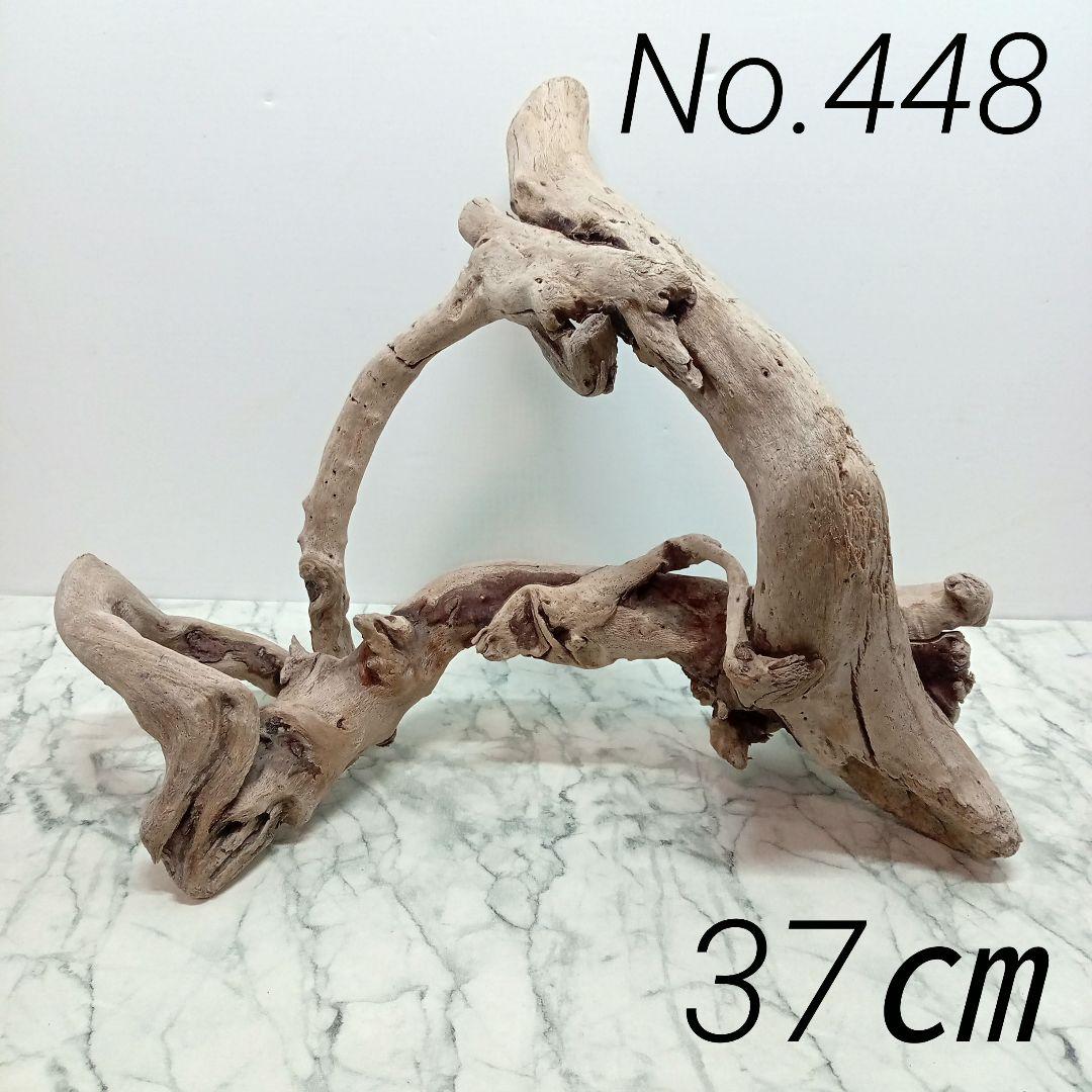 アクアテラリウム 水槽流木。水生植 物 水槽用流木 アクアリウム 盆栽