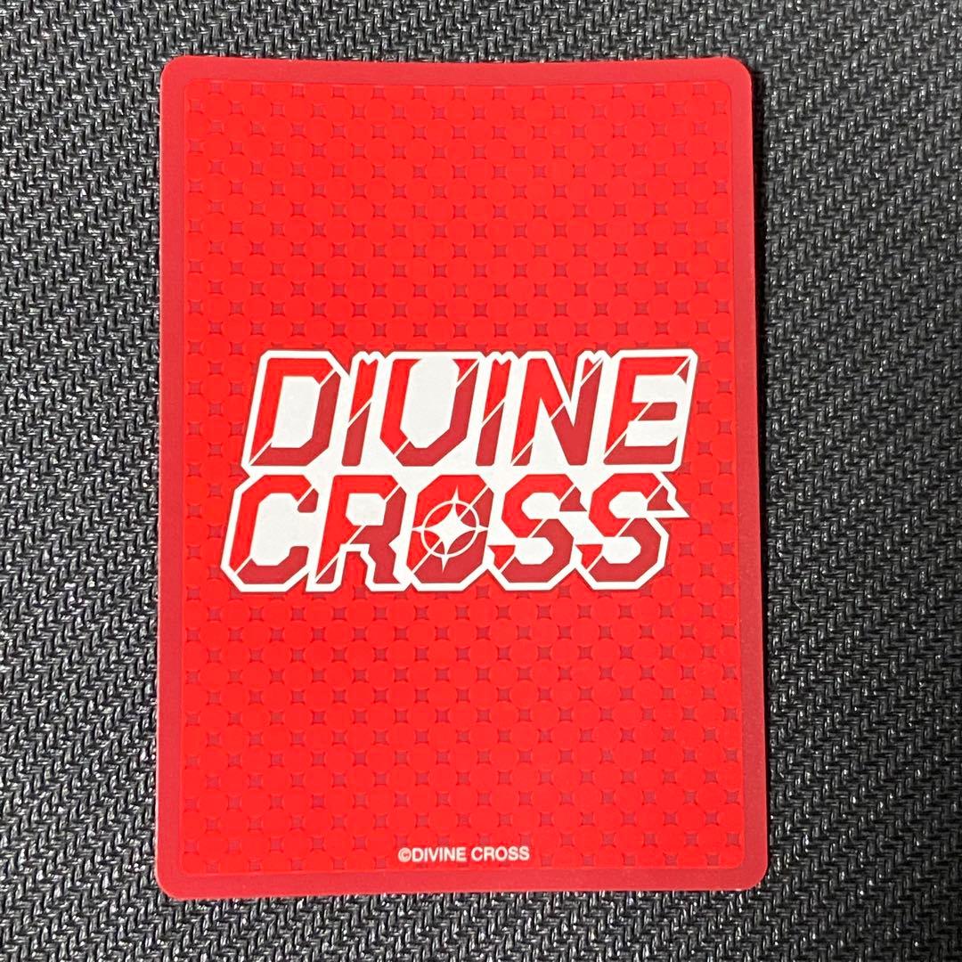 水着 オルレア SEC Partner箔 DIVINE CROSS