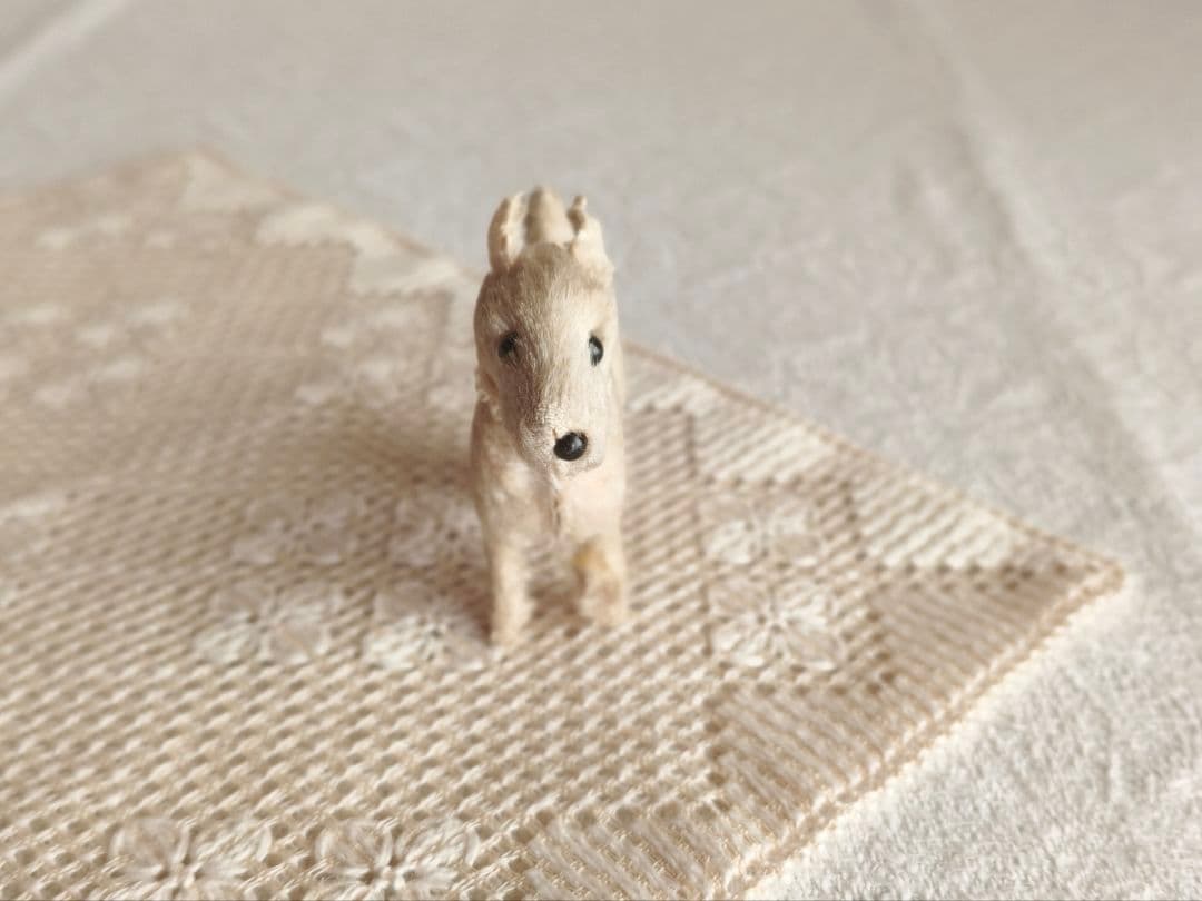 * vintage teria ❀ 遊ぶのが大好きな テリアさん