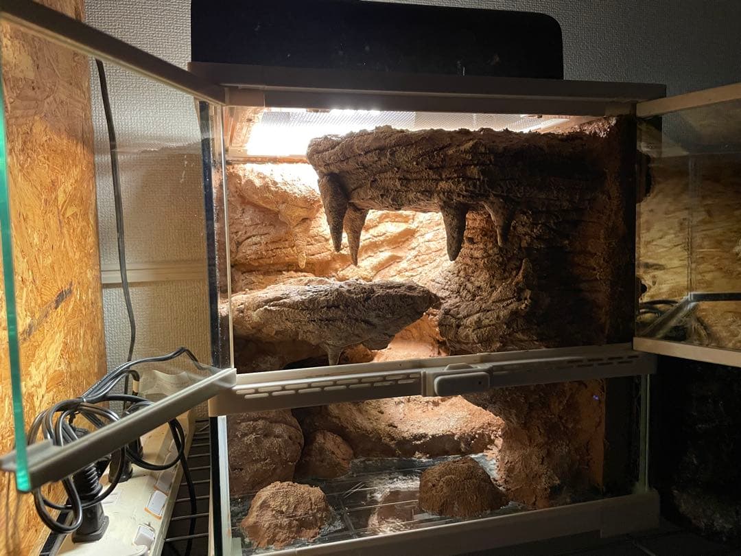 爬虫類レイアウト用品 爬虫類ケージ ジオスペース