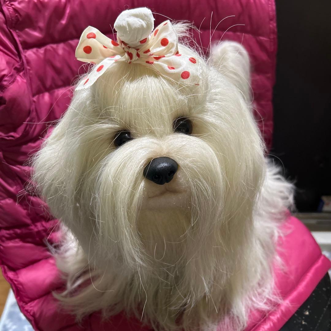 ドレッシーペット　ぬいぐるみ　犬　マルチーズ　タグ付き❣️