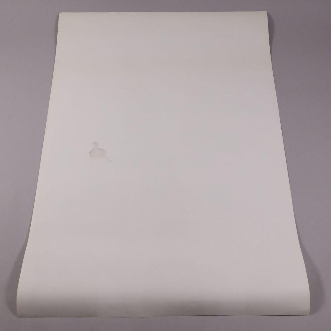 【CM100】B1判 映画ポスター「ブラック・レイン」マイケルダグラス 高倉健