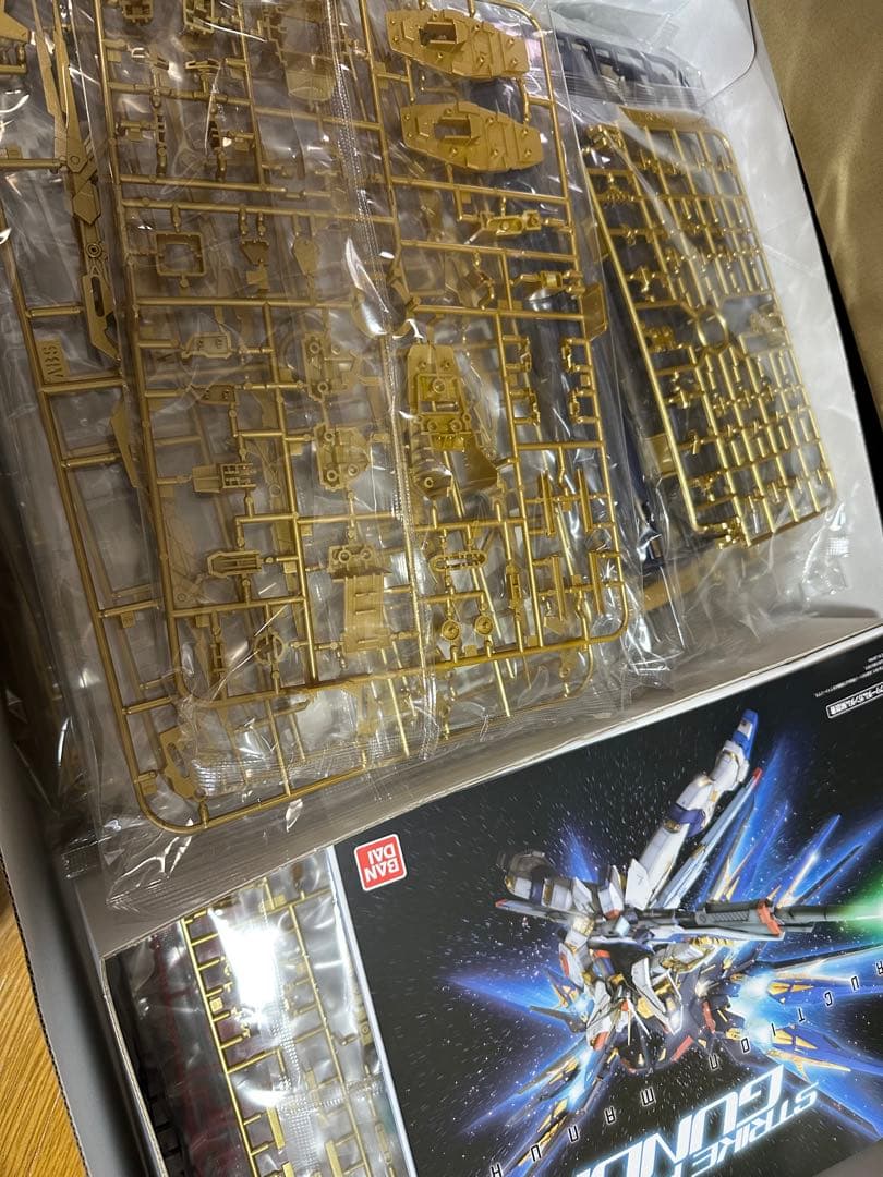 ストライクフリーダムガンダム PG