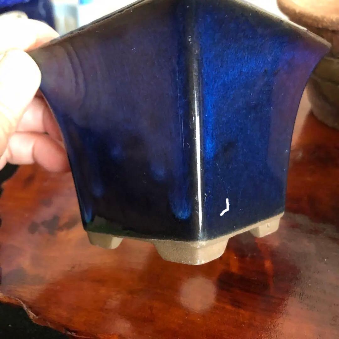 盆栽　山野草　サボテン　多肉植物鉢　4セット(11個)未使用品その他