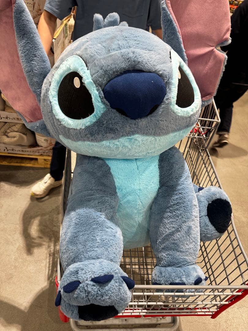 激レア☆限定125体 シュタイフ125Teddy Bear Gold シュタイフ