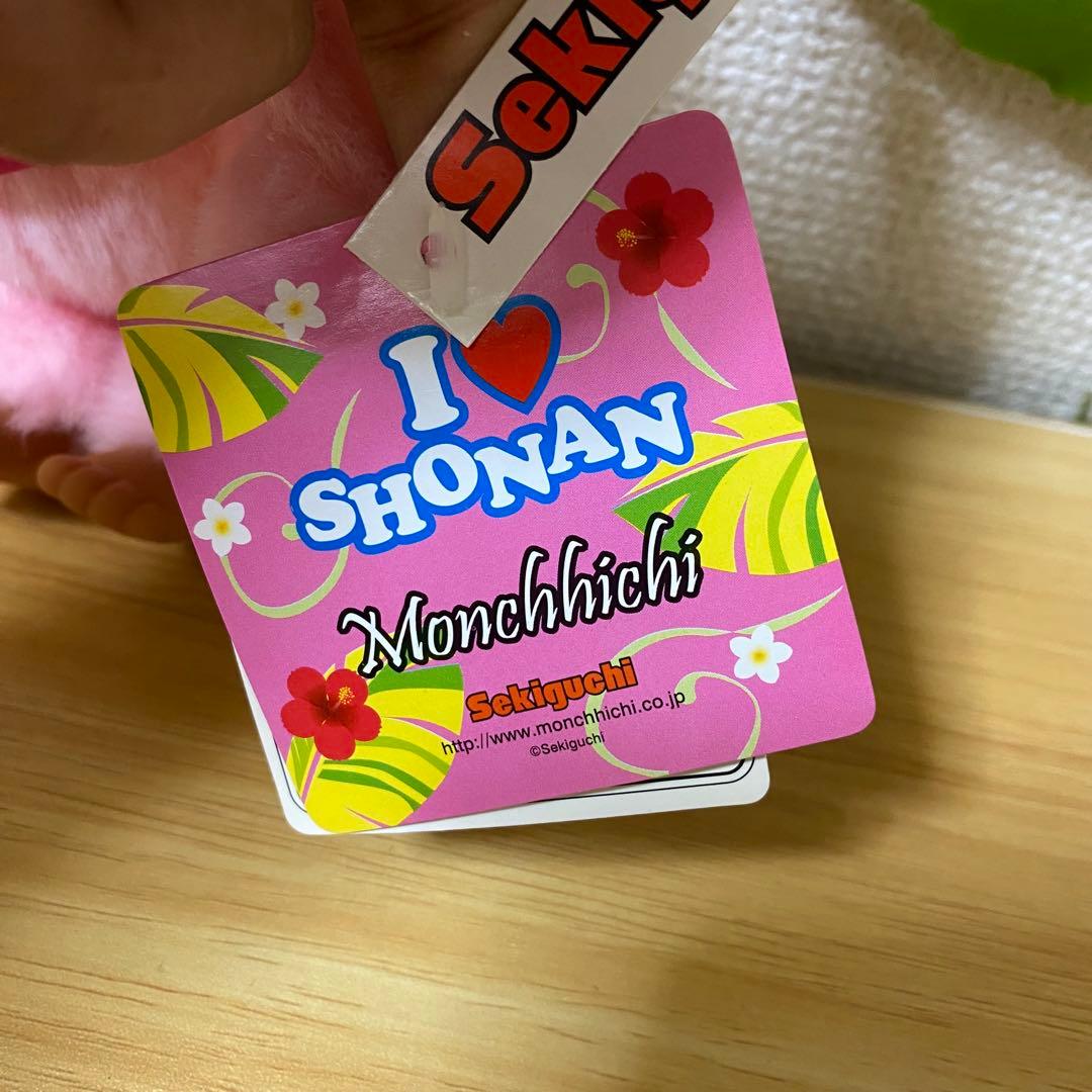 新品　希少　モンチッチぬいぐるみ　ご当地　湘南限定 セキグチ　人形