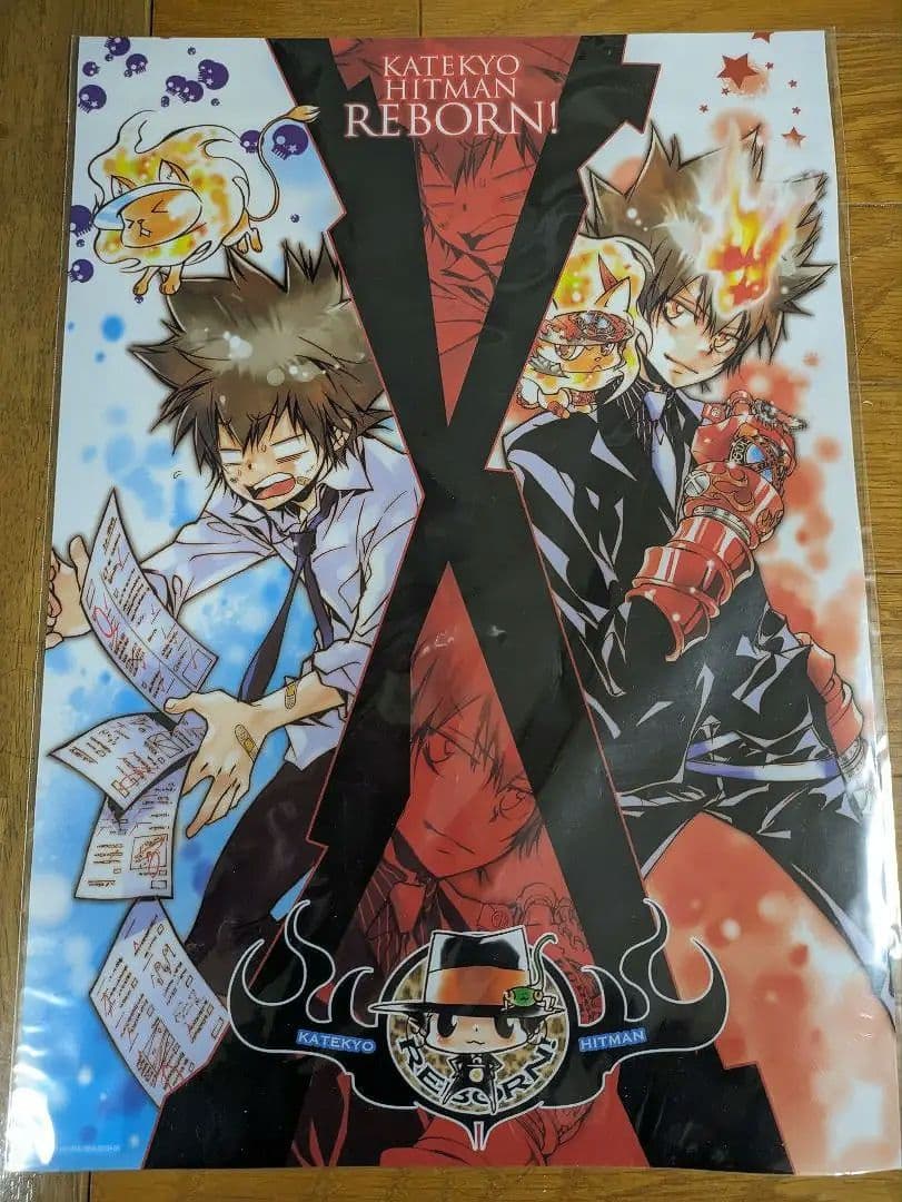 家庭教師ヒットマンREBORN! 沢田綱吉 ツナ クリアポスター 原作絵