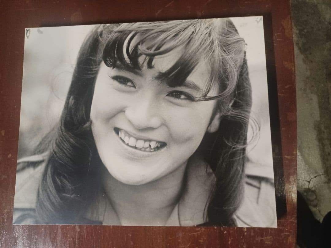 レア商品一点物　志穗美悦子白黒スチール写真非売品木製パネル(435×535) 値段交渉可…女優 志穂美悦子 写真集 - メルカリ