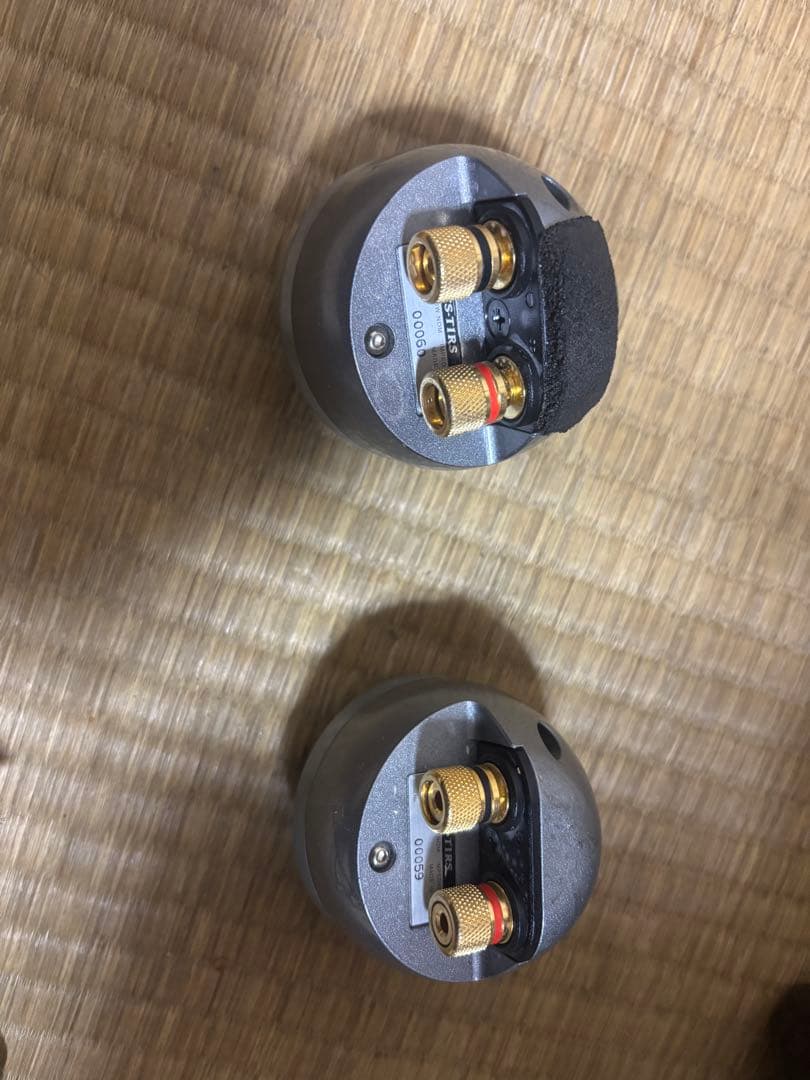 Pioneer TS-T1RS スピーカー