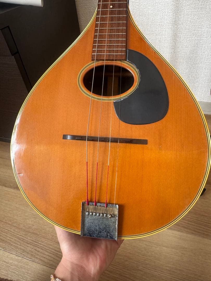 マンドリン本体 スプルース/ローズウッド