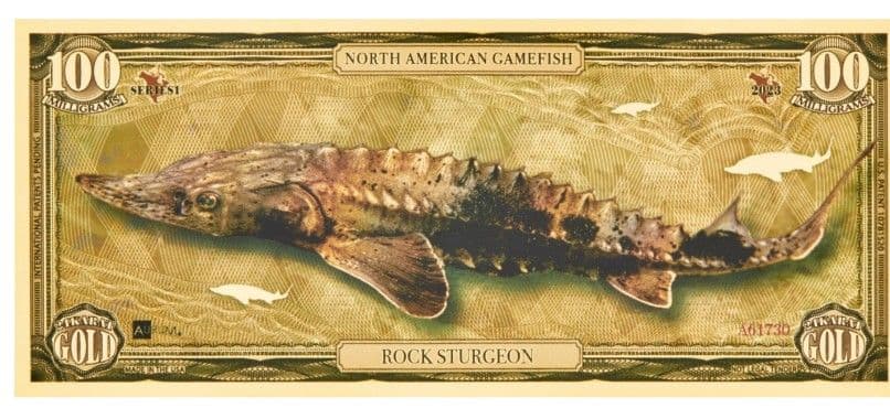 ヤタガラス☆☆純金ノート(１００mg４枚＋１５mg５枚＋３１mg３枚)☆☆