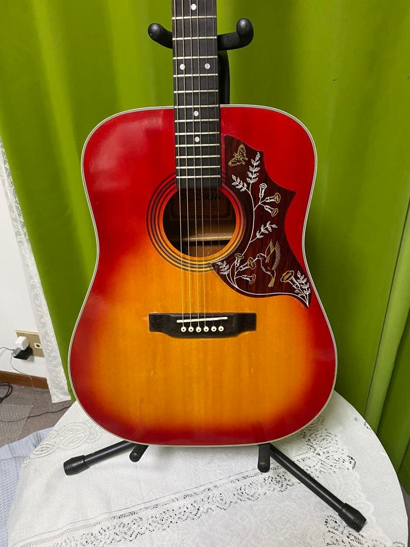 新春特価カントリーしようぜ！ハミングバードW200 エレアコ 音出し良好