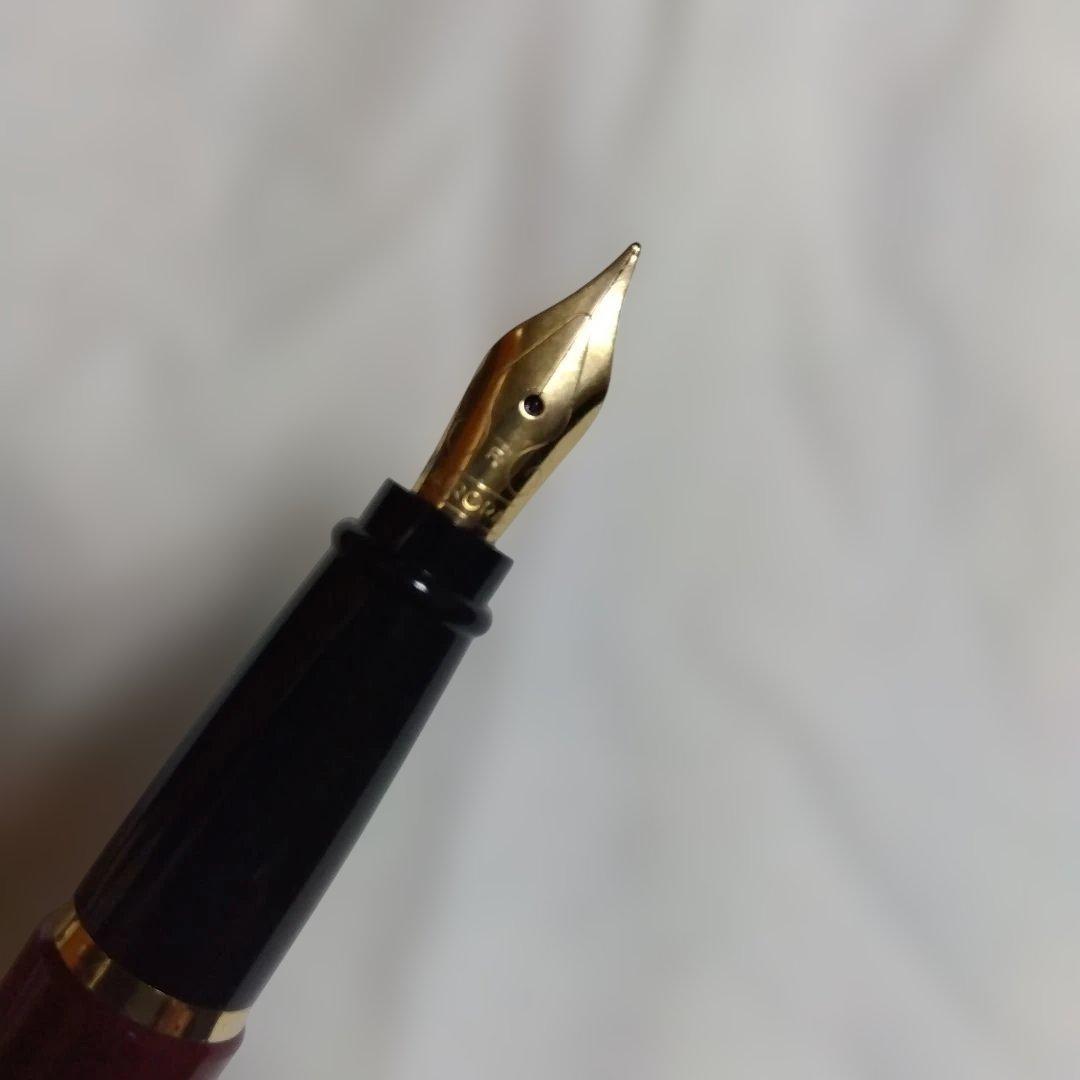 apollosさま】AURORA 万年筆 【専用ケース付き】 AURORA - AURORA