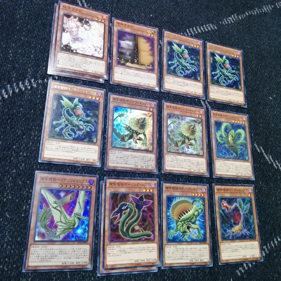 遊戯王　デッキ　捕食植物　プレデター・プランツ　スターヴ　[04570]