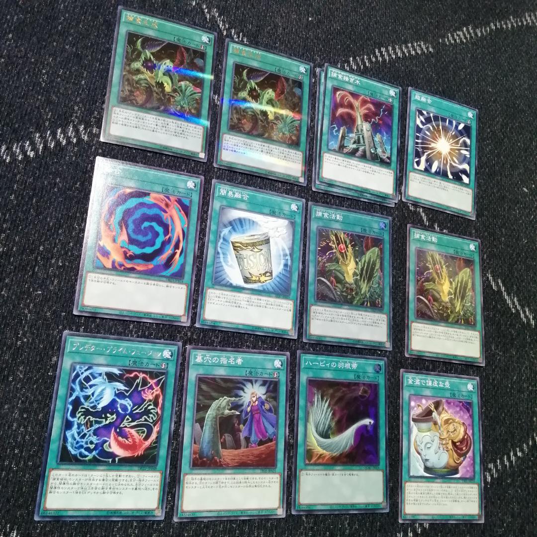 遊戯王　デッキ　捕食植物　プレデター・プランツ　スターヴ　[04570]